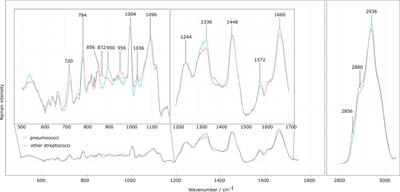 Raman Spectroscopic Differentiation of Streptococcus pneumoniae From Other Streptococci Using <mark class="highlighted">Laboratory Strains</mark> and Clinical Isolates